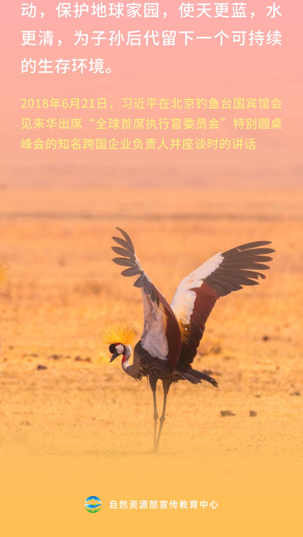 640 (1).png